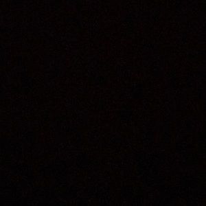 Meet your Posher, Daisy